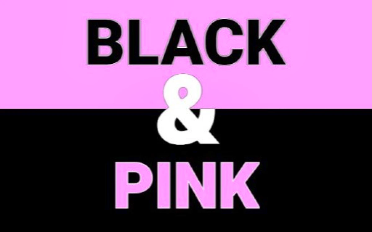 Play Black and Pink — free online Casual game