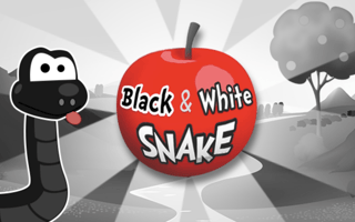 Black & White Snake game cover