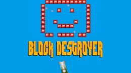 Block Destroyer
