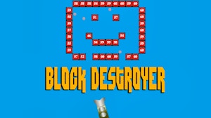 Image for Block Destroyer