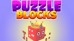 Puzzle Blocks