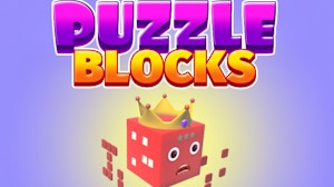 Image for Puzzle Blocks