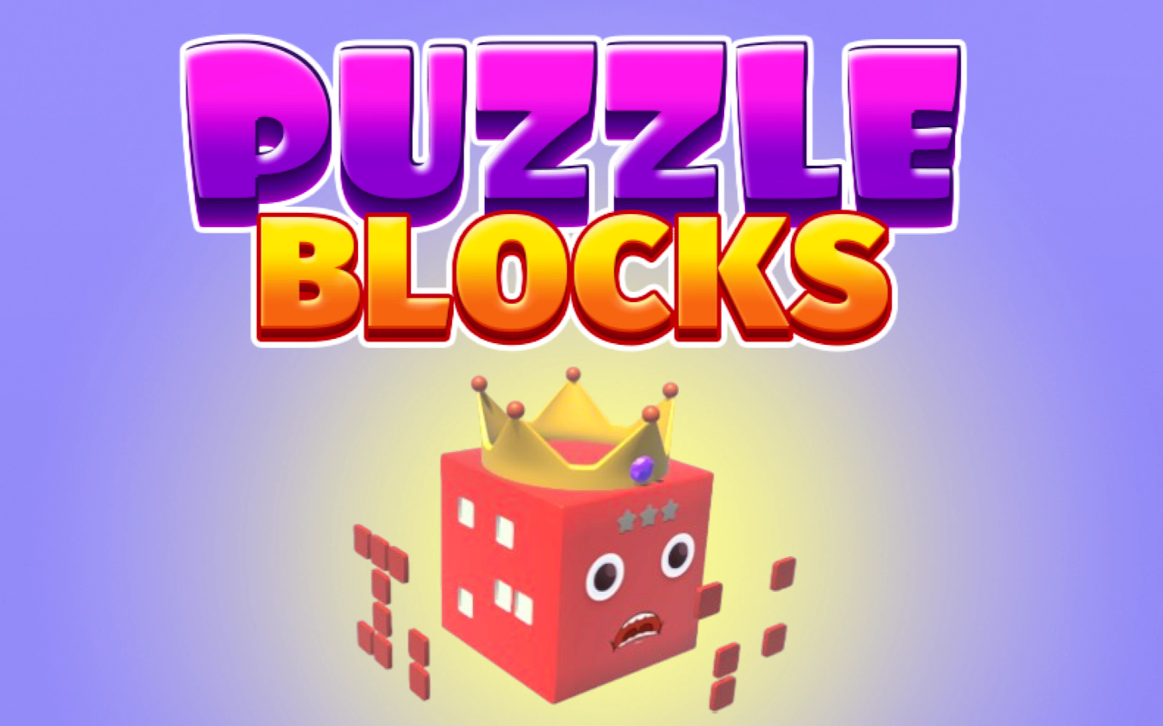 Puzzle Blocks