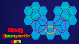 Block Hexa Puzzle Pro