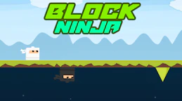 Block Ninja