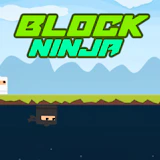 Block Ninja