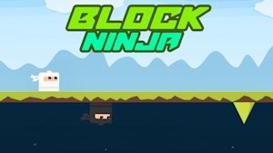 Image for Block Ninja