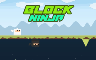 Block Ninja game cover