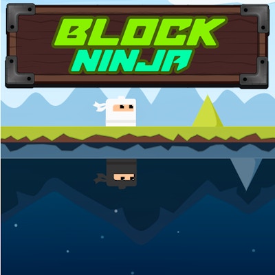 Block Ninja By Gamepix