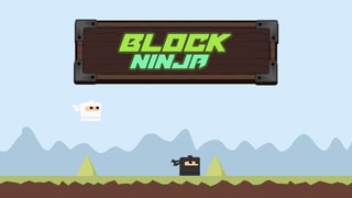 Block Ninja game cover