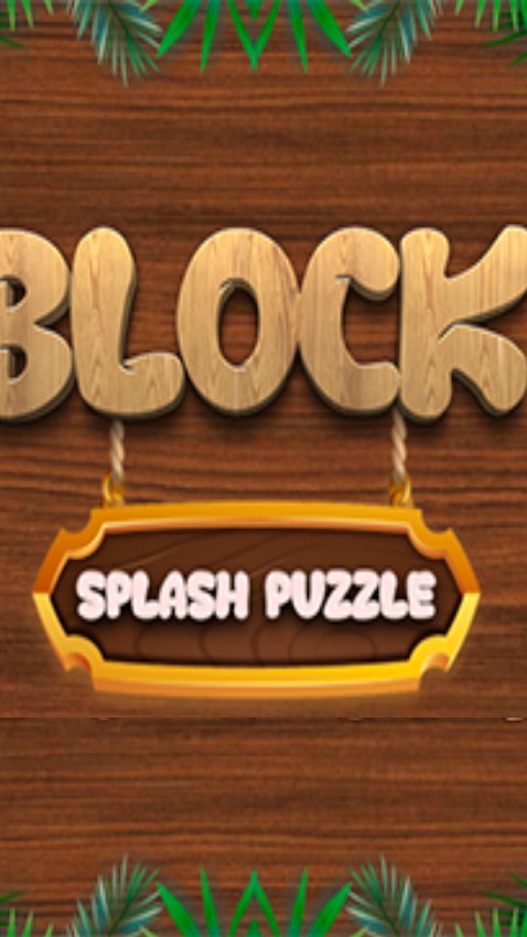 Block Splash Puzzle