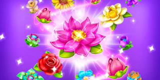 Blossom thumbnail