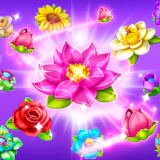 Blossom
