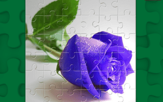 Blue Roses Puzzle game cover
