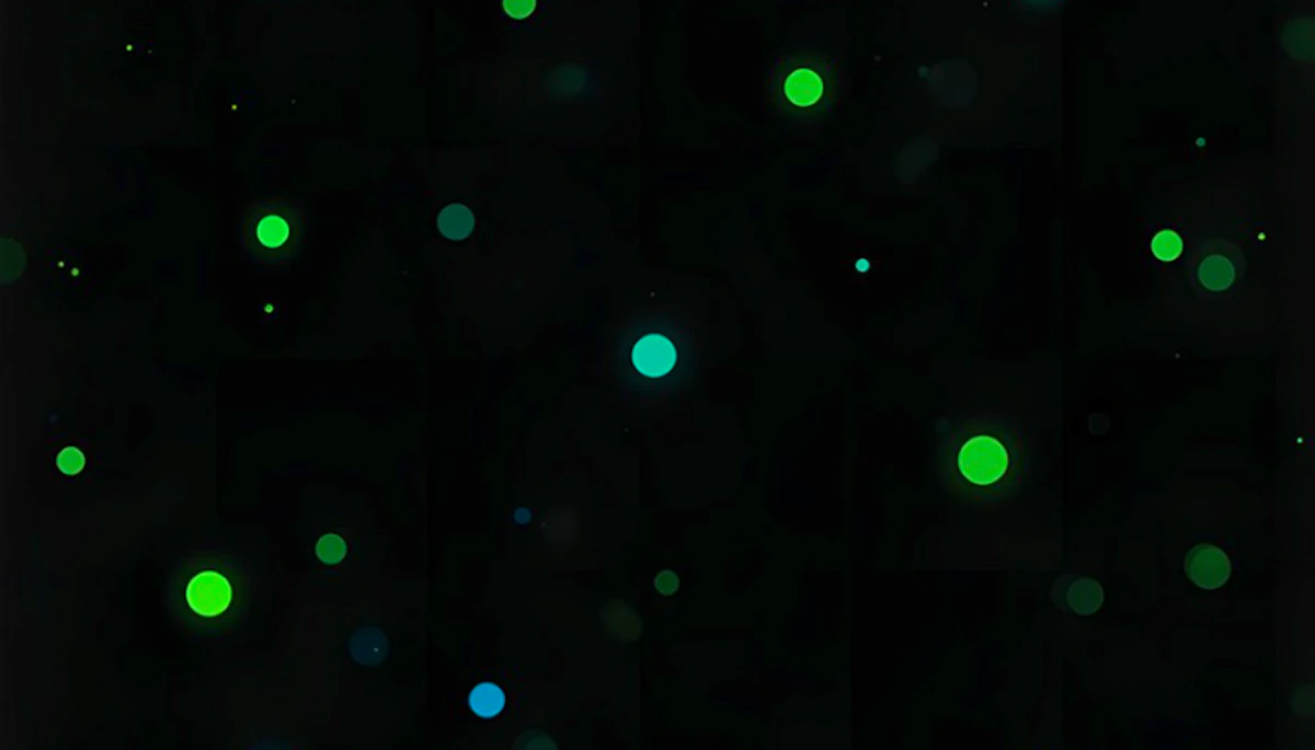 Play Dot and Box — free online Puzzle game