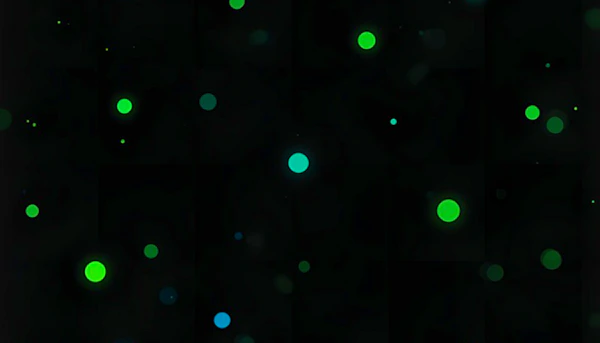 Dot and Box