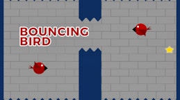 Bouncing Bird