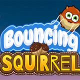 Bouncing Squirrel
