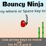 Bouncy Ninja