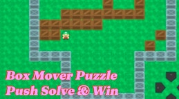 Box Mover Puzzle Push Solve & Win