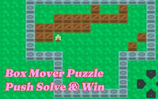 Box Mover Puzzle Push Solve & Win