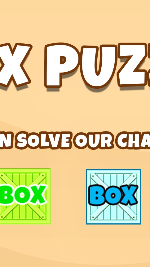Box Puzzle