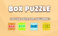 Box Puzzle