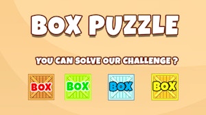 Image for Box Puzzle