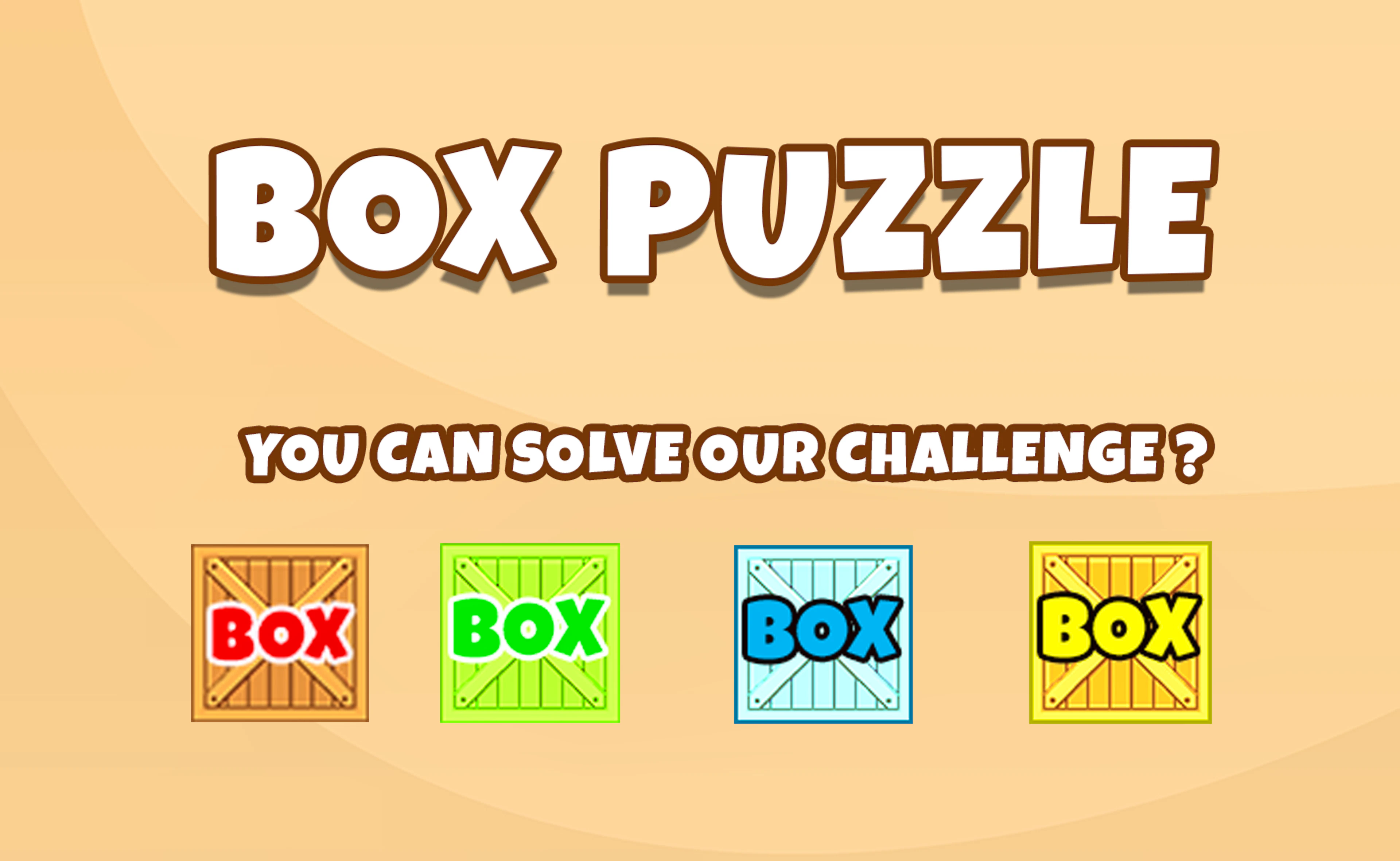 Box Puzzle