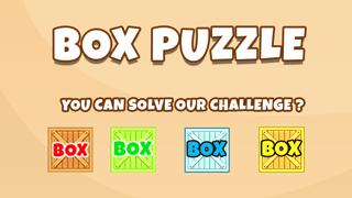 Box Puzzle