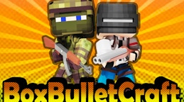 BoxBulletCraft