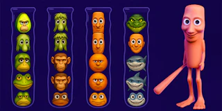 Brainrot Mind Puzzle Sort Challenge thumbnail