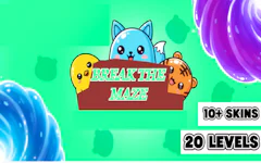 Break the Maze