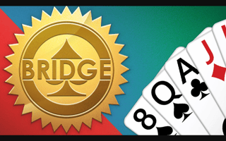 Bridge game cover
