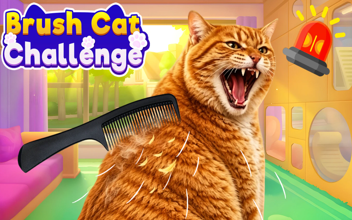 Brush Cat Challenge