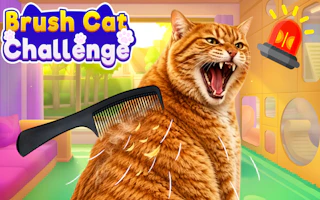 Brush Cat Challenge