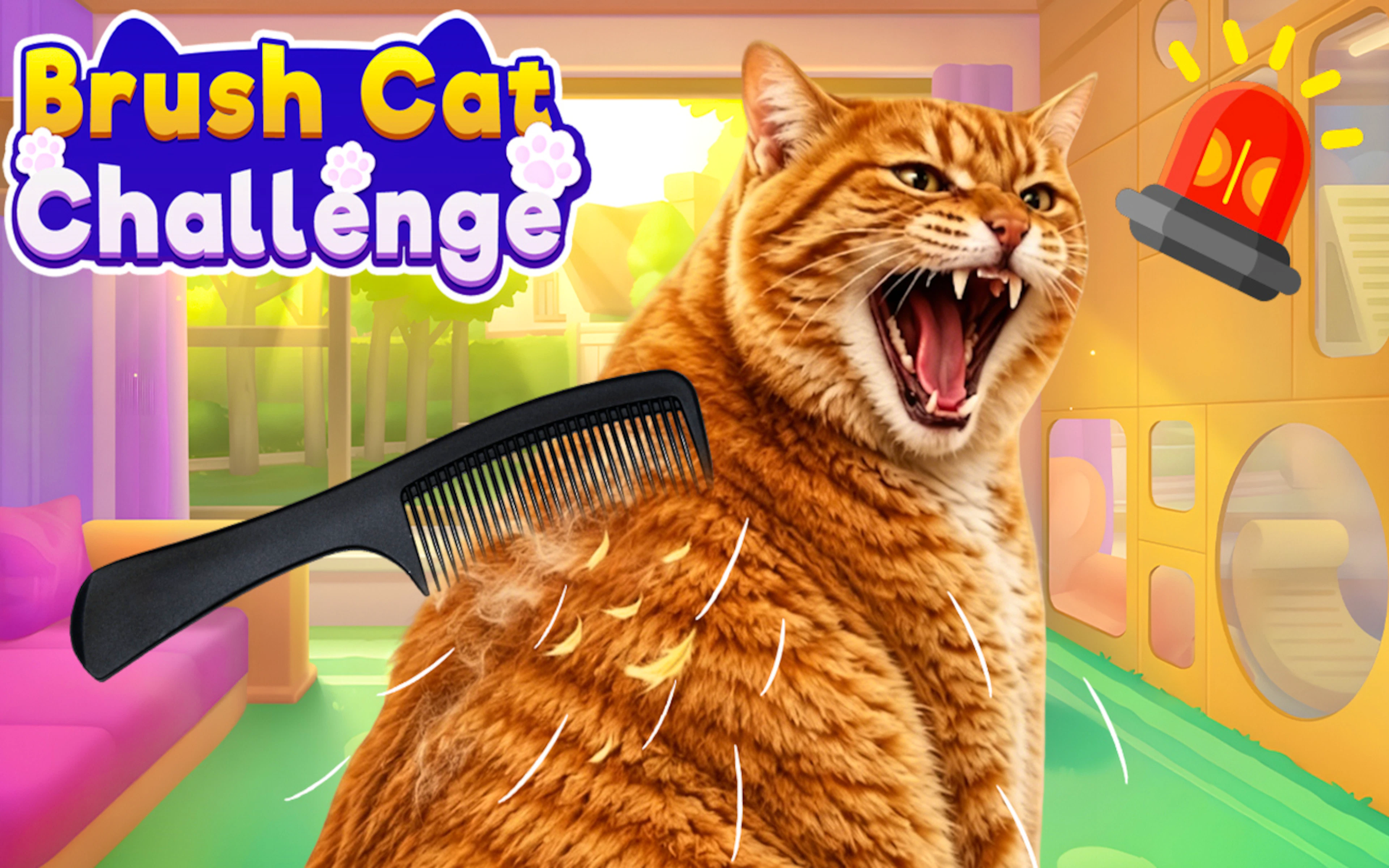 Brush Cat Challenge