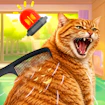 Brush Cat Challenge