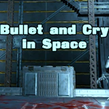 Bullet and Cry in Space