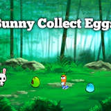 Bunny Collect Eggs