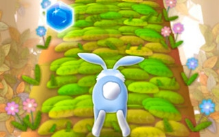 Bunny Run