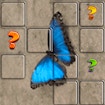 Butterfly Memory Match