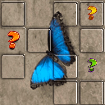 Butterfly Memory Match By Gamepix
