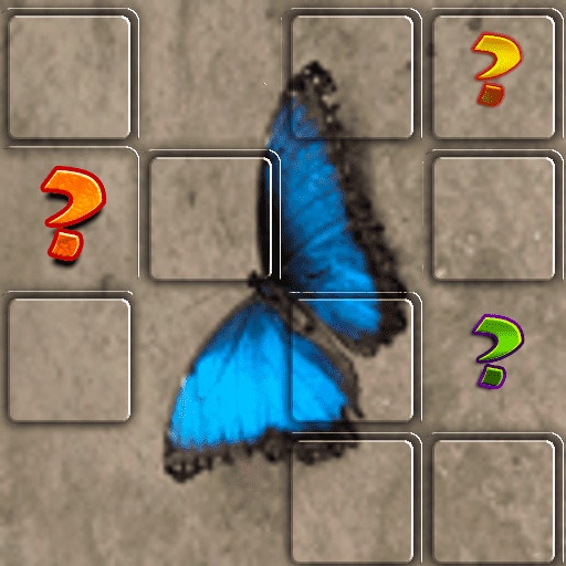 https://img.gamepix.com/games/butterfly-memory-match/icon/butterfly-memory-match.png?w=512