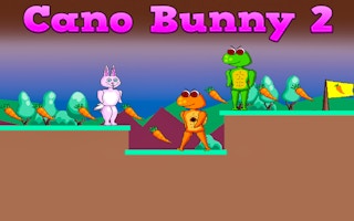 Cano Bunny 2