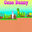 Cano Bunny banner