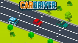 Car Driver
