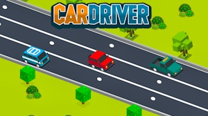 Image for Car Driver