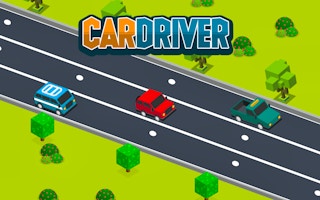 Car Driver