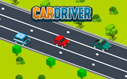 Car Driver